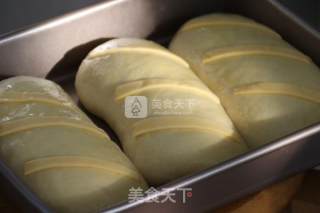 葡萄干芝士面包的做法步骤：8
