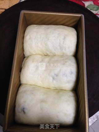 汤种蜜豆奶油面包的做法步骤：14