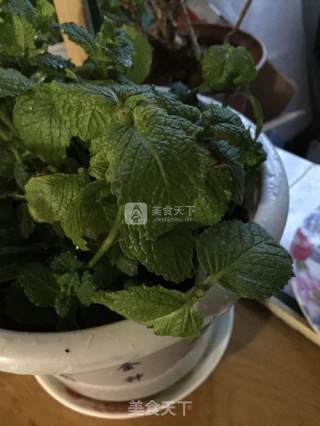 柠檬????薄荷茶的做法步骤：1