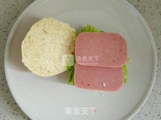 汤种芝士火腿餐包（中筋粉）的做法步骤：8