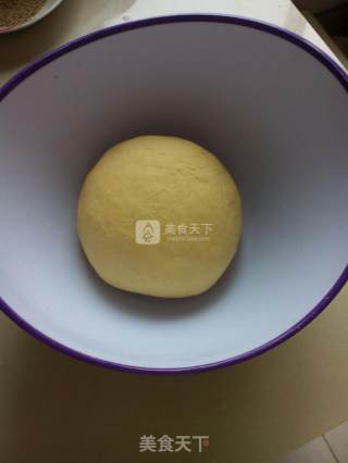南瓜馒头的做法步骤：3