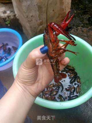 油焖龙虾的做法步骤：3