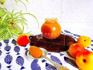 杏子果酱的做法步骤：15