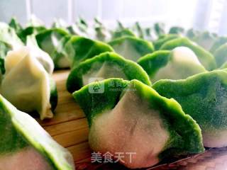 花式饺子的做法步骤：4