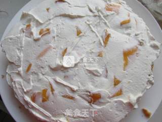玫瑰奶油蛋糕的做法步骤：10