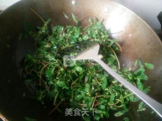 蒜香马齿苋的做法步骤：5
