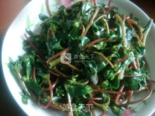 蒜香马齿苋的做法步骤：6