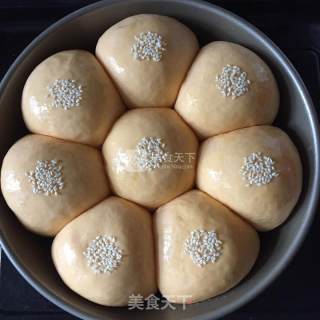 胡萝卜小餐包的做法步骤：6