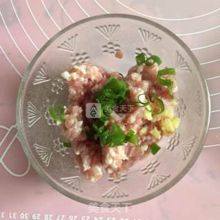 鲜肉蛋黄月饼的做法步骤：6