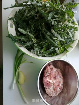 猪肉苦菜馅儿饺子的做法步骤：1