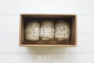 黑芝麻吐司（中种）的做法步骤：13