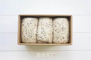 黑芝麻吐司（中种）的做法步骤：14