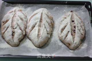 核桃芝士全麦包的做法步骤：8