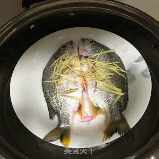 清蒸海鱼的做法步骤：3