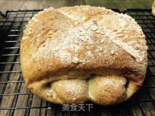 全麦吐司 全麦火腿包的做法步骤：4