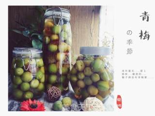 青梅酒&梅子露的做法步骤：4