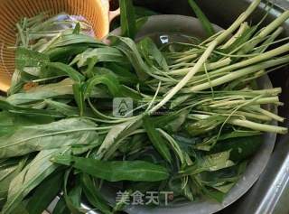 空心菜梗炒肉丝的做法步骤：1
