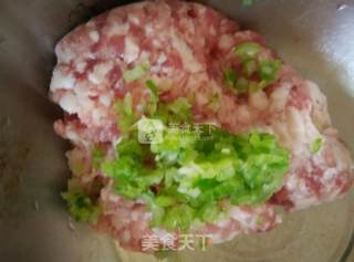 锅贴的做法步骤：3