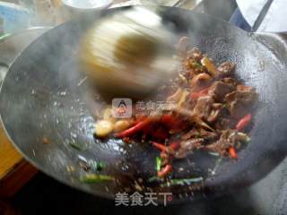 啤酒鸭的做法步骤：7