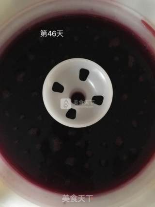 桑葚陈酿的做法步骤：6