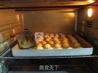 贵妇人之吻的做法步骤：9