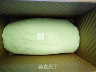 抹茶圣诞树吐司蛋糕的做法步骤：2