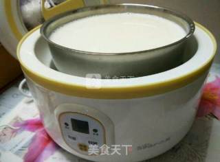 自制老酸奶的做法步骤：2