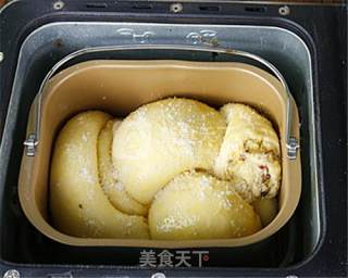 蔓越莓椰香面包的做法的做法步骤：13