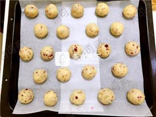 蔓越莓麻薯面包的做法步骤：5