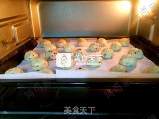 蔓越莓麻薯面包的做法步骤：6