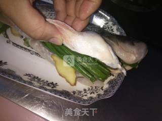 清蒸鲈鱼的做法步骤：3