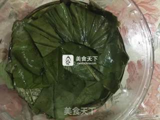 冬瓜山药荷叶鲜酿酵素的做法步骤：2
