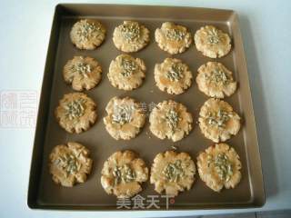 全麦葵花籽仁桃酥的做法步骤：12