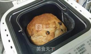 全麦果仁无油酸奶吐司的做法步骤：7