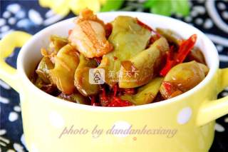五花肉炖油豆角的做法步骤：12