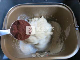 燕麦全营养红糖软欧包的做法步骤：4