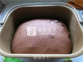 燕麦全营养红糖软欧包的做法步骤：9