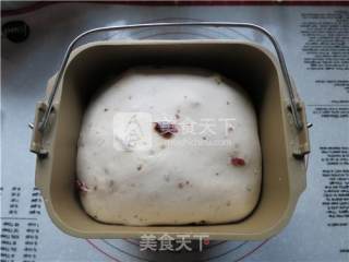 天然酵母核桃蔓越莓软欧包的做法步骤：7