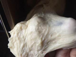 中种红豆沙餐包的做法步骤：6