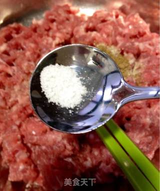 茴香猪肉馅儿饺子的做法步骤：6