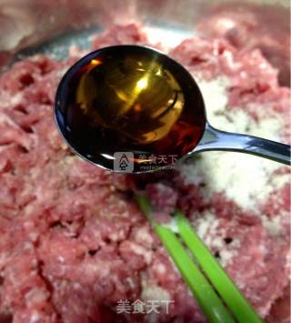 茴香猪肉馅儿饺子的做法步骤：8