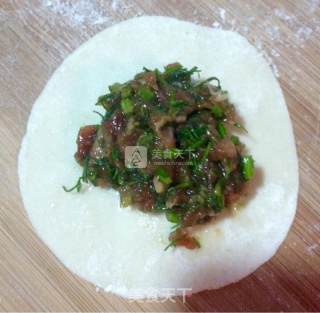 茴香猪肉馅儿饺子的做法步骤：20
