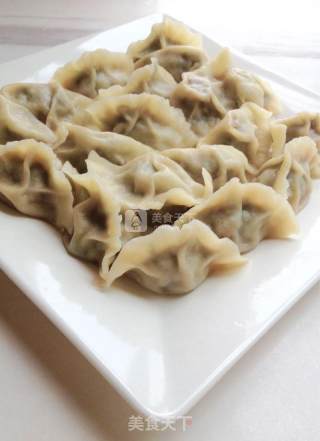 茴香猪肉馅儿饺子的做法步骤：24
