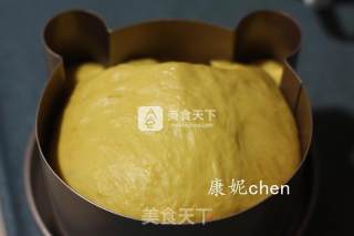 南瓜小熊土司的做法步骤：7