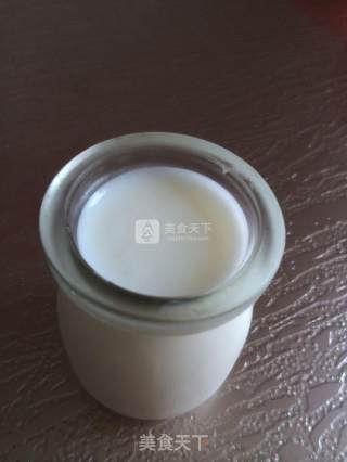烤箱奶粉自制酸奶的做法步骤：4