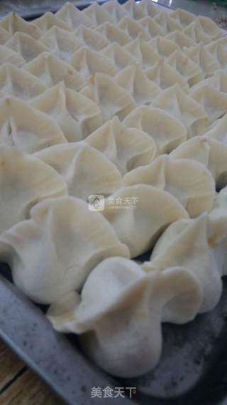 包饺子的做法步骤：9