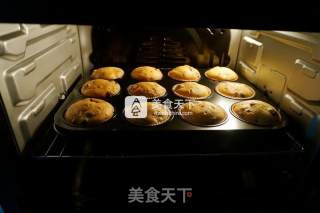 蔓越莓酸奶马芬的做法步骤：14