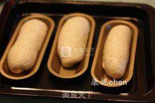 玉米金枪鱼全麦包的做法步骤：5