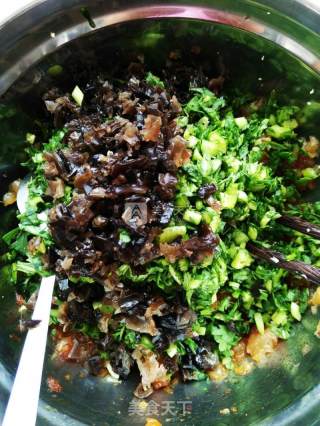 茼蒿鸡肉水饺的做法步骤：2