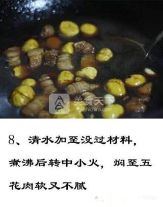 栗子红烧肉的做法步骤：8